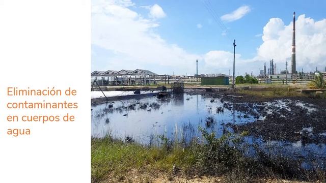 Aplicaciones ambientales microorganismos смотреть онлайн