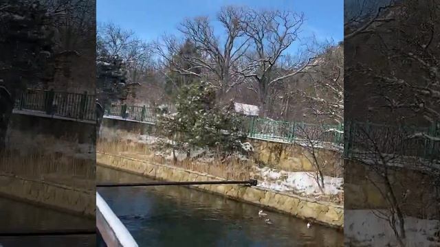 Утриш, Морской клуб зимой. Утки смотреть онлайн