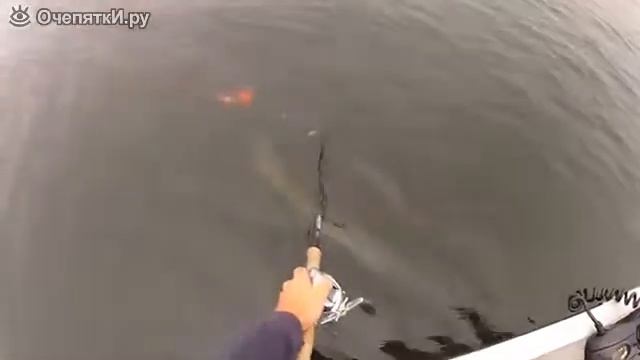 Щука всё таки попалась. смотреть онлайн