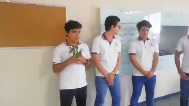 Trichoderma vs Fosarium