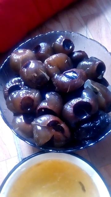 красно книжный гриб ведьмин котелок