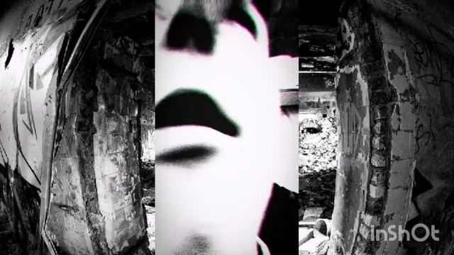 13 Palata (SH.a.D.o.W) - Пару строчек