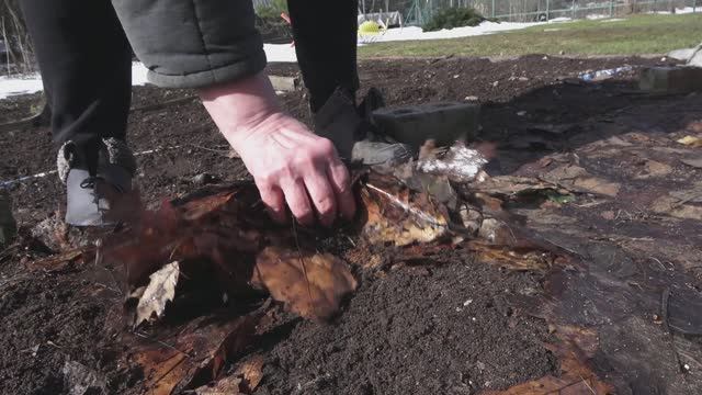 Сняли утеплитель с клубники смотреть онлайн