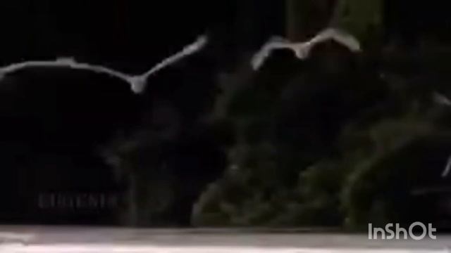 Сказ о ПриРОДе. Поэзия от автора. #поэзияновоговремени #иннасеменова #сказоприроде #сладково