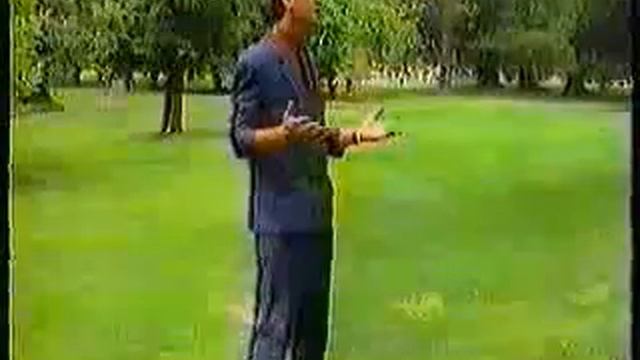 vahid husic vaha BOSANAC SAM 2 DVD смотреть онлайн