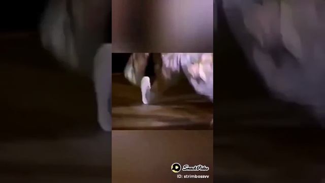 Кур жарят, женят (архив моего телефона) смотреть онлайн