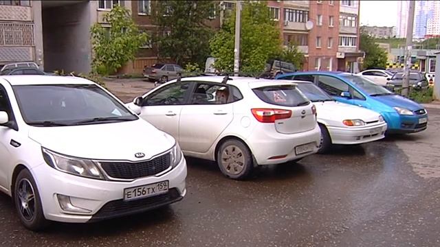 Дети и животные в машине смотреть онлайн