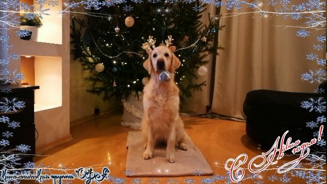 СНовымГодом2021 смотреть онлайн