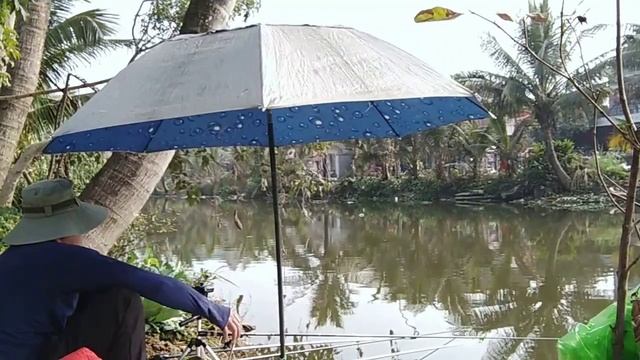Câu đài, câu cá diếc sông với mồi cám gạo rang смотреть онлайн