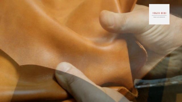 Camel Colorado - Toker Deri смотреть онлайн