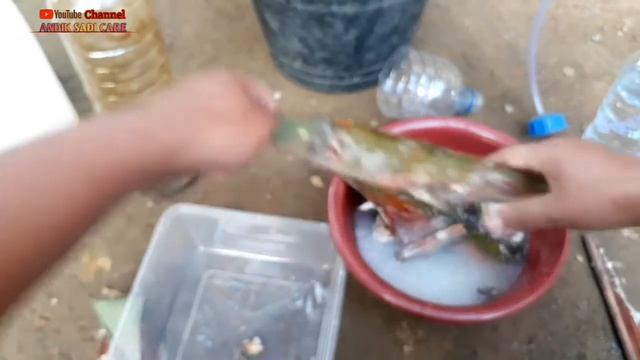 CARA MEMBUAT MOL NASI BASI( yang bisa di tumbuhi jamur trichoderma) смотреть онлайн