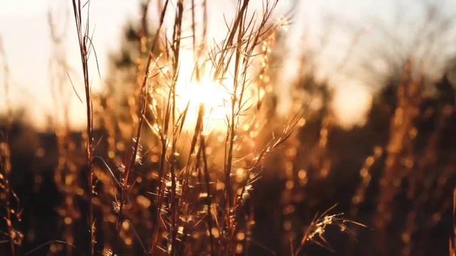 22 февраля 2023 г.