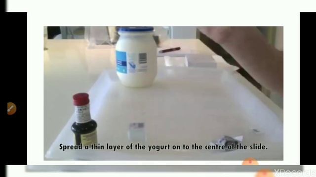 Class8, Sci,(Lect-6) Ch.-2(Microorganism)Tues,28/4/2020