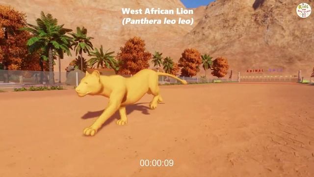 COLORED FEMALE AFRICAN MAMMALS IN PLANET ZOO-LION BISON ZEBRA GIRAFFE CAMEL-ANIAMLS RACES-FUN RACES смотреть онлайн