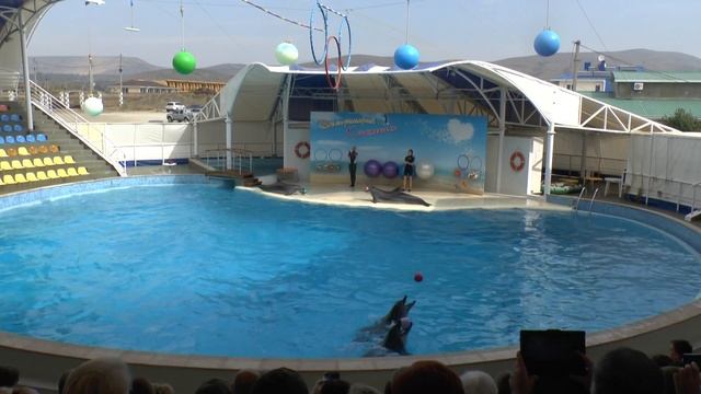 Дельфины и котики Коктебеля-11 смотреть онлайн