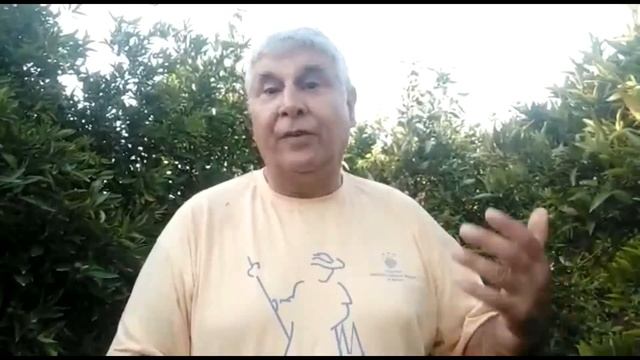 Incumplimientos de la Ley de Sanidad Vegetal смотреть онлайн