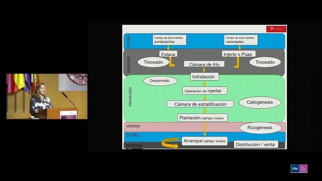 D.ª MARIA DEL VALLE ALBURQUERQUE OTERO. “LOS TIEMPOS DE LA PLANTA DE VID» смотреть онлайн
