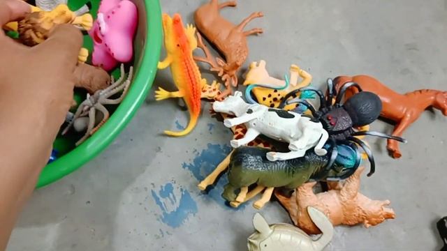 Zoo Animals - Cow Dog Lion Horse Camel Tiger Leopard Wolf Cat Bear Elephant Rhino ! Ideas 420M ! 13 смотреть онлайн