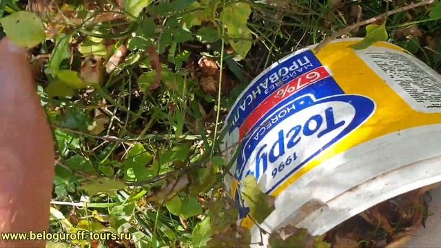 Грибалка в Абхазии. Часть 2 смотреть онлайн