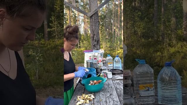 Чищу Грибы 😁 смотреть онлайн