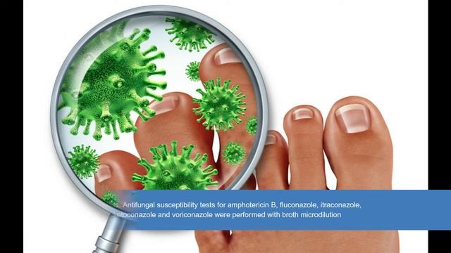 Recent Advancements In Candida Sepsis