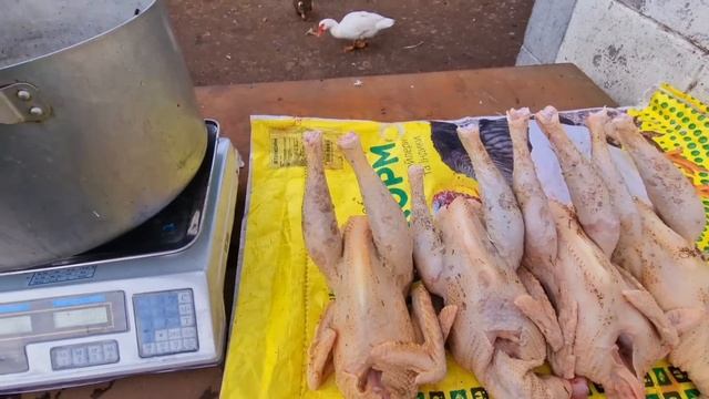 заказали, оформляю)