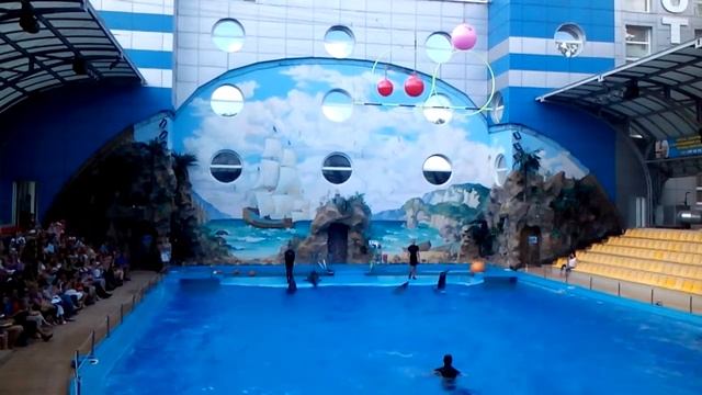 Дельфины Геша и Миша смотреть онлайн