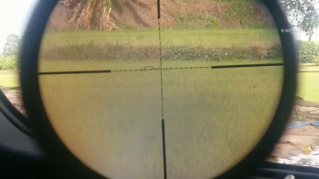 EP. 3 ออกล่าหามื้อเย็น จะหมานรึป่าวไปชมกันคับ