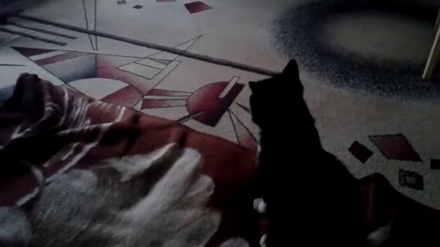 27 марта 2017 г. смотреть онлайн