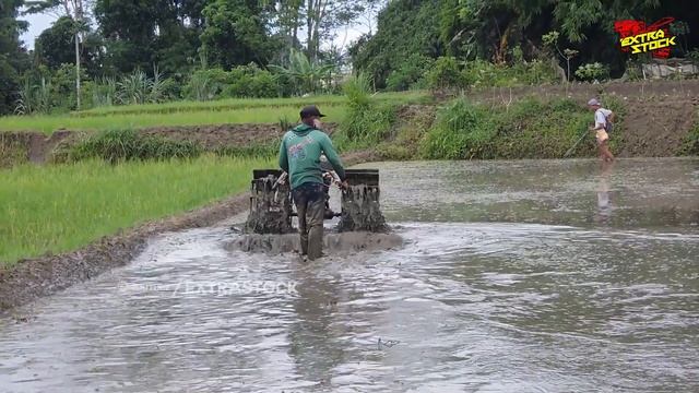 Uji Coba Traktor Sawah Racing Untuk Garap Lahan Dalam смотреть онлайн