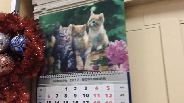 Котики правят миром смотреть онлайн