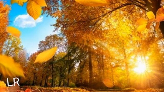 гарного вечора. смотреть онлайн