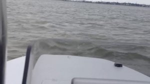 SCB Recon / Mercury 250 ProXS