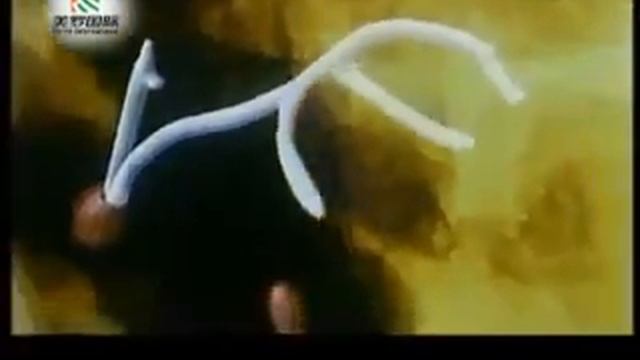 Полисахаридная продукция