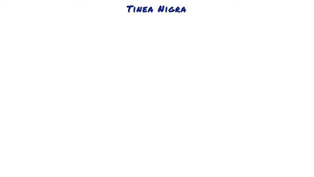 Tinea Nigra // Microbiology смотреть онлайн