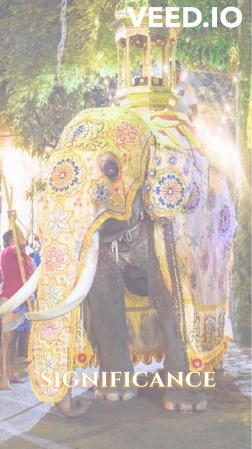 Srilankan Elephant #elephant #srilanka #srilankanelephants #travelsrilanka #beutyofnature смотреть онлайн