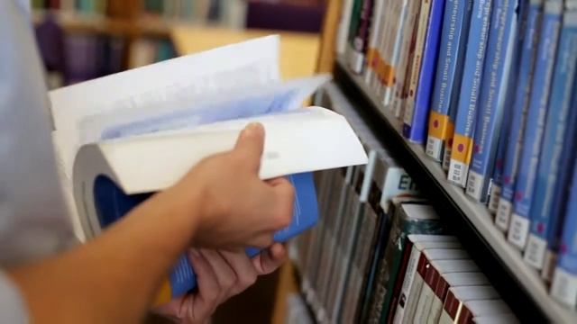 MSc Business Management:  Moritz Kahle