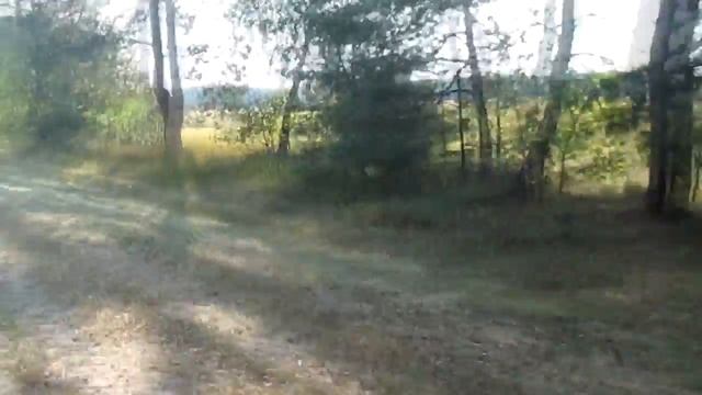 Поездка в лес Братская могила в лесу