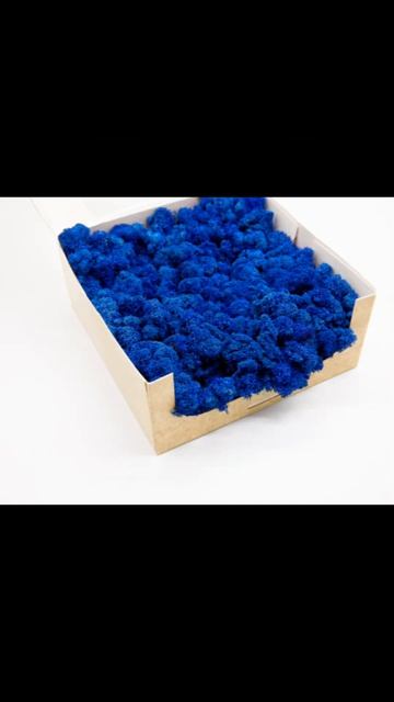 Licheni stabilizati si curățați de la Distinctiv Store!🌿 смотреть онлайн