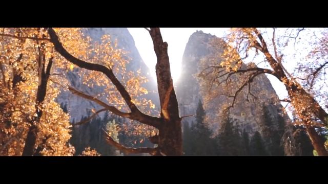 Не ищи причин.