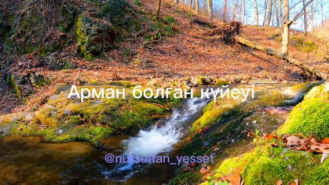 ПОЭЗИЯ.  М. ШАХАНОВ 