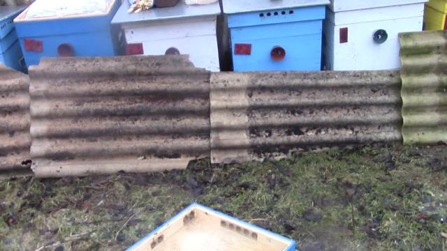 Проверка семей перед новым годом. Подкормка. смотреть онлайн