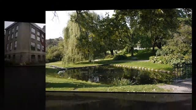 Botanical garden fall 2011 смотреть онлайн