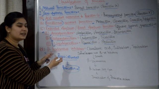 Penicillin's (Beta Lactam) Antibiotics In Hindi | Part-1 | Classification | Indication  Side Effect