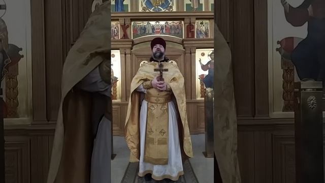 3 вывода из Евангелия о Закхее мытаре. Проповедь о. Андрея. 2.2.25 смотреть онлайн