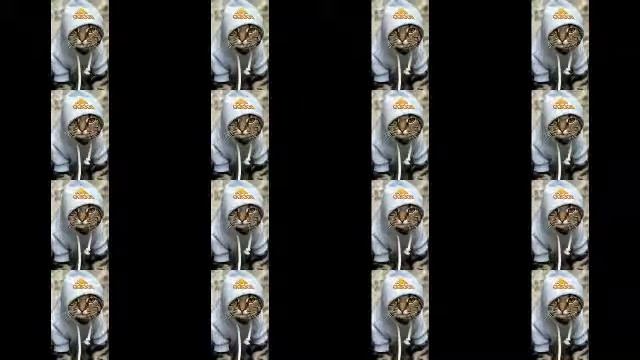 КРУТАЯ МУЗЫКА/2018/ДЛЯ КОТОВ🐱 смотреть онлайн
