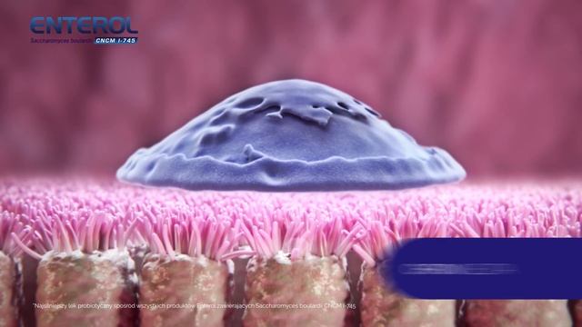 Enterol Forte - probiotyk do antybiotyku смотреть онлайн