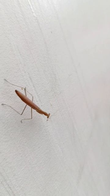 science смотреть онлайн