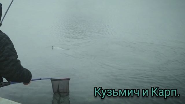 ловим толстолобика. смотреть онлайн