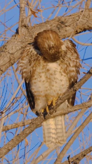 What I see vs what my Canon eosr sees! смотреть онлайн